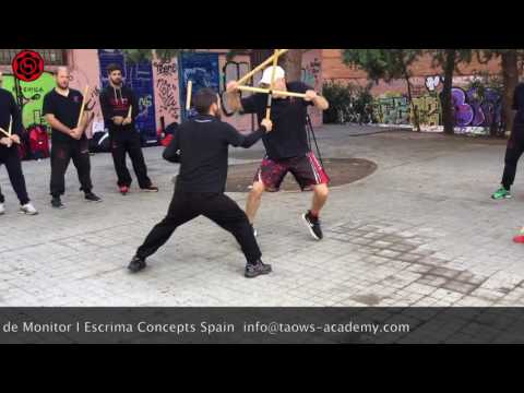 Vídeo de Álvaro, instructor de Escrima Concepts en Madrid, con Wayne Tappin