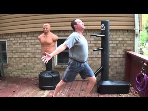 Postura y potencia en Wing Chun