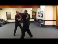 Otro gran vídeo de entrenamiento entre familias de Wing Chun