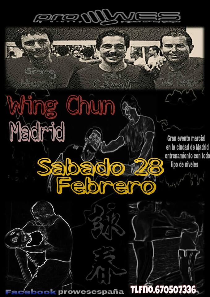 Seminario Wing Chun con Sifu Cemil Uylukcu