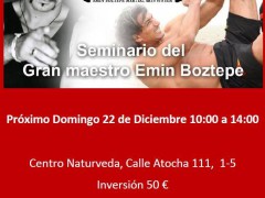 Seminario en Madrid Sifu Emin Domingo 22 de Diciembre