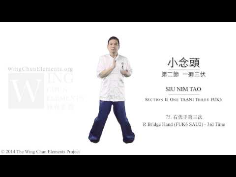 Siu Nim Tao con nombres y nombres chinos