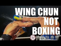 Buenos puntos de diferencias entre boxeo y Wing Chun