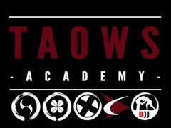 Trailer de TAOWS