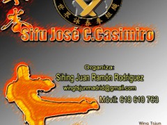 Seminario Wing Tsjun en Madrid: Sifu Jose C. Casimiro